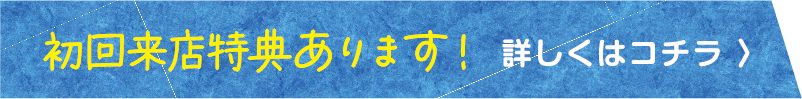 初回特典あります。