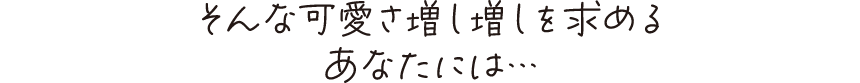 そんな可愛さ増し増しを求めるあなたには…