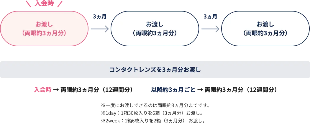 1day・2weekタイプ システム